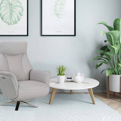 Houston Swivel Recliner