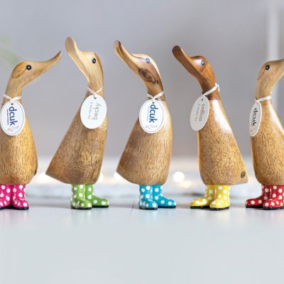 Spotty Boots Ducklings