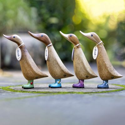 Bug Boots Ducklings