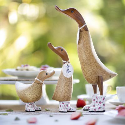 Strawberry & Lemon Ducklets