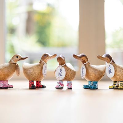 Wild Welly Duckys