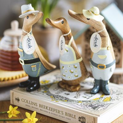 Beekeeper Ducklings